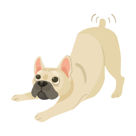 Cute French bulldog playful tail wags, cartoon illustration. Funny and adorable puppy lying on back, sitting and playing on white backgroundのイラスト素材