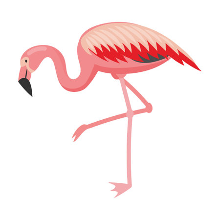 Flamingo bird cartoon vector illustration. Pink bird flying, standing, eating, showing love. Vacation, wildlifeのイラスト素材