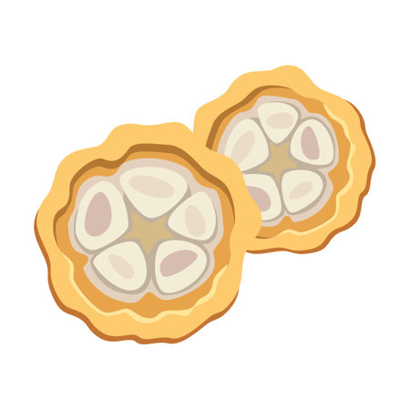 Chocolate cocoa bean cut in half cartoon illustration. Cacao beans with leaves on tree, sliced into halves and chocolate isolated on whiteのイラスト素材