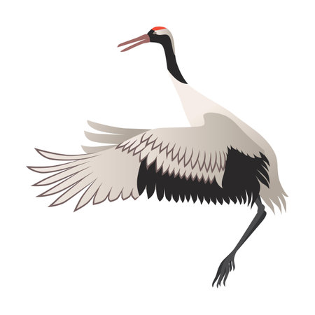 Crane bird flapping its wings cartoon illustration. Red crowned heron flapping wings. Stork or Japanese bird isolated on white backgroundのイラスト素材
