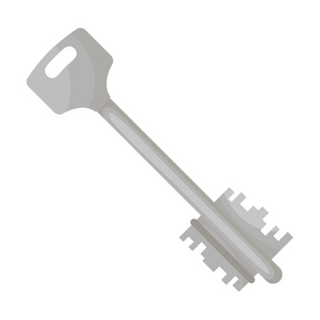 Modern metal lock key flat vector illustration. Collection of door key isolated on white background. Protection, security, safetyのイラスト素材