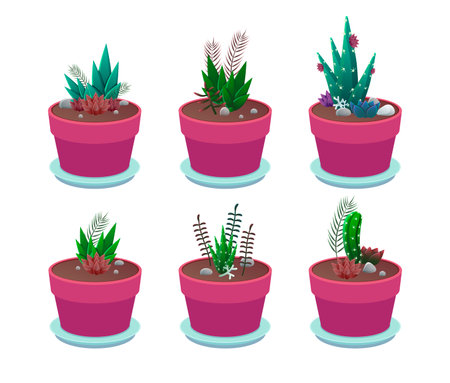 Cactuses or succulents in pink pots vector illustrations set. Collection of drawings of potted cacti, aloe with blossoms isolated on white background. Decoration, nature, houseplants, botany conceptのイラスト素材