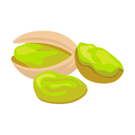 Nuts of pistachio vector illustration. Almond, hazelnut, pistachio, cashew, sunflower seeds, peanut, walnut isolated on whiteのイラスト素材