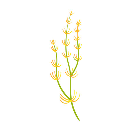 Seaweed plant, algae cartoon, flat vector illustration. Beautiful mythical creature with underwater animals isolated on whiteのイラスト素材