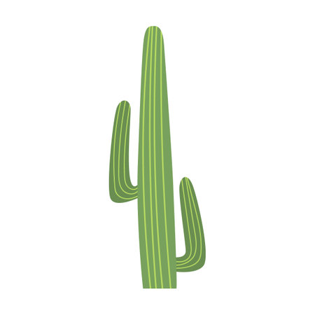 Green branched cactus vector illustration. Cacti, spiny tropical plant with flowers or blossoms, Arizona or Mexico succulents isolated on whiteのイラスト素材