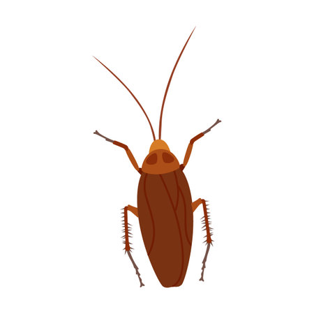 Harmful cockroach insect on white background cartoon illustration. Lady bug, beetle, grub,...