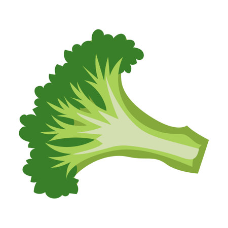 Green healthy broccoli, cartoon vector illustration. Drawing of raw and roasted animal meat isolated on white backgroundのイラスト素材