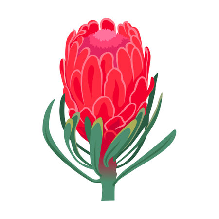 Hawaiian exotic flower cartoon illustration. Wild tropical Polynesian plant on white backgroundのイラスト素材