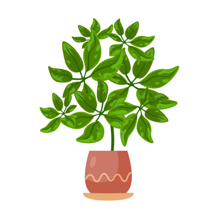 Houseplant in flowerpot flat vector illustration. Drawing of plant in pot for office or home garden isolated on white backgroundのイラスト素材