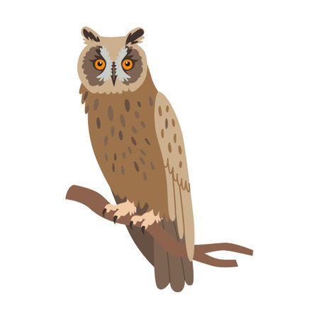 Forest owl cartoon illustration. Predatory bird or beautiful flying creatures isolated on white backgroundのイラスト素材