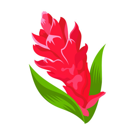 Exotic jungle flower cartoon illustration. Wild tropical Hawaiian or Polynesian plant on white backgroundのイラスト素材