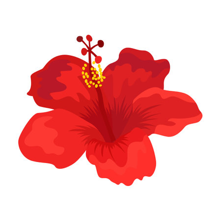 Exotic flower vector illustration. Hawaiian, Polynesian or Caribbean plant isolated on white backgroundのイラスト素材