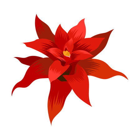 Exotic flower vector illustration. Wild Hawaiian, Polynesian or Caribbean plant isolated on white backgroundのイラスト素材
