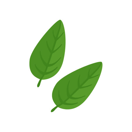 Herb leaves with vitamin C vector illustration. Cartoon drawing of enriched organic antioxidant, herb. Food, nutrition, diet conceptのイラスト素材