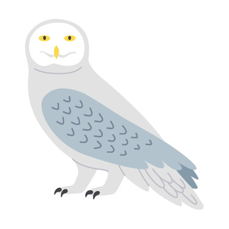 White owl cartoon illustration. Predatory bird or beautiful flying creatures isolated on white backgroundのイラスト素材