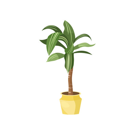 Corn plant flat vector illustration. Indoor flower or plant in flowerpot or vase, corn plant in pot isolated on white background. Interior, urban jungle conceptのイラスト素材