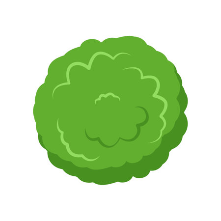 Top view of green bush or tree crown vector illustration. Plant element for garden, forest or park plan or map isolated on white background. Ecology, landscape design conceptのイラスト素材