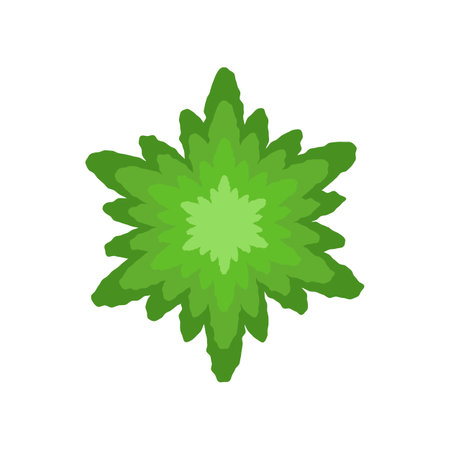 Top view of green coniferous tree vector illustration. Plant element for garden, forest or park plan or map isolated on white background. Ecology, landscape design conceptのイラスト素材
