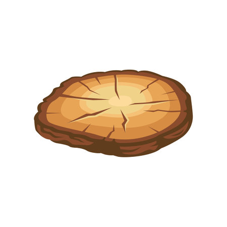 Natural wood slice vector illustration. Cartoon drawing of part of tree, wood, timber and lumber isolated on white background. Construction materials, forestry conceptのイラスト素材