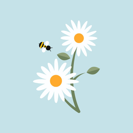Bee flying towards white chamomiles cartoon illustration. Insect collecting nectar or pollinating daisy flowers on blue background. Spring, meadow, nature conceptのイラスト素材