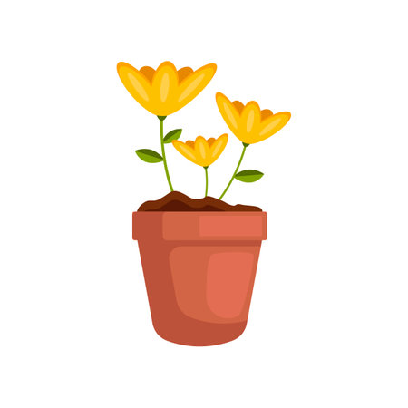 Yellow flowers in flowerpot vector illustration. Cartoon drawing of garden plant isolated on white background. Gardening, farming, agriculture, spring conceptのイラスト素材