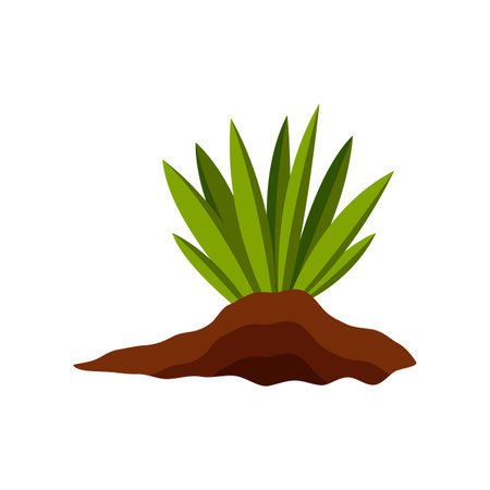 Green plant growing in ground vector illustration. Cartoon drawing of garden flower or grass isolated on white background. Gardening, farming, agriculture, spring conceptのイラスト素材