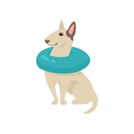 Funny comic bull terrier dog with inflatable ring illustration. Portrait of cute puppy cartoon character with accessory isolated on white background. Summer, vacation, pets conceptのイラスト素材