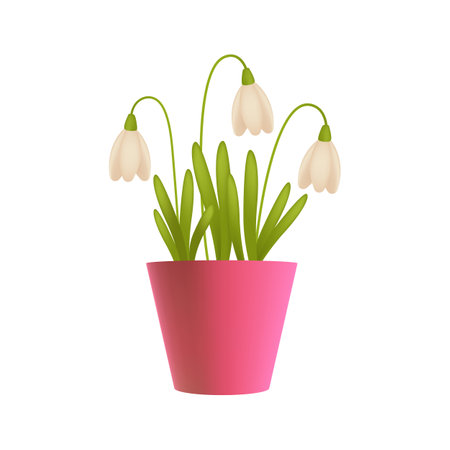 Snowdrops in pink flowerpot 3D illustration. Cartoon drawing of spring flowers with white bulbs or petals in 3D style on white background. Nature, spring, botany, decor conceptのイラスト素材