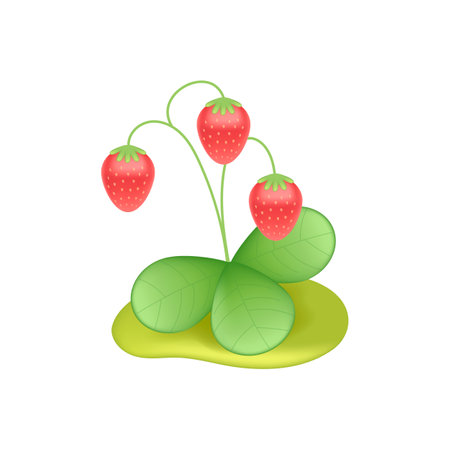 Strawberry plant on ground 3d vector illustration. Berries with green leaves growing in garden in cartoon style isolated on white background. Nature, plant, gardening conceptのイラスト素材