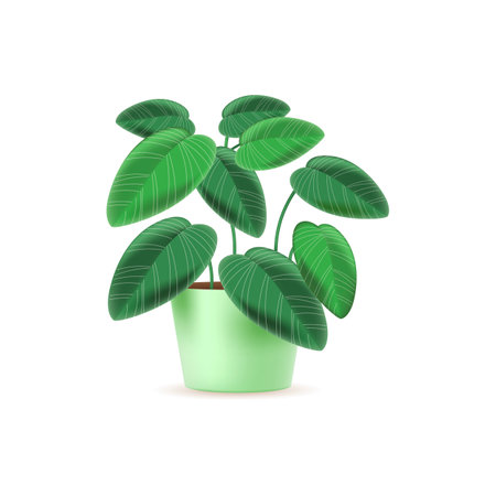 Maranta plant in pot 3d vector illustration. Indoor garden potted flower for house decoration in cartoon style isolated on white background. House plants, nature, home interior conceptのイラスト素材