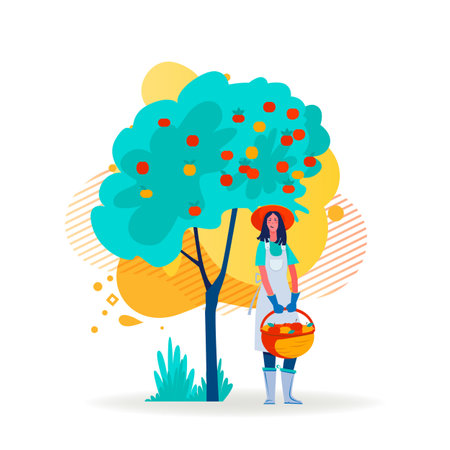 Female farmer picking apples. Young woman gathering harvest flat vector illustration. Farming, gardening, autumn concept for banner, website design or landing web pageのイラスト素材