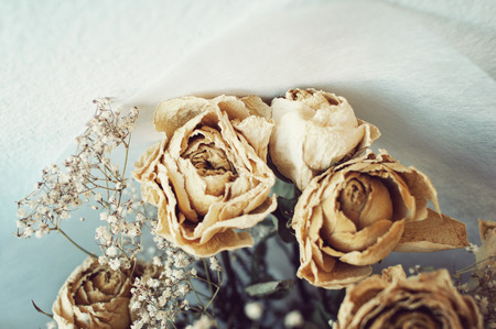 Dead White Roses. Relationship died, Divorce.の写真素材