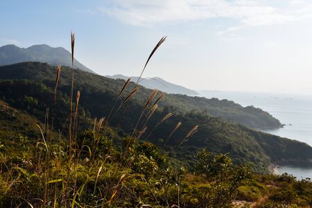 Ocean view from hiking trails on Lamma Island, Hong Kongの写真素材