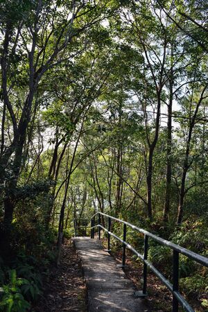 Easy walk in greenry on a paved path to a rest area, from hiking trails on a day-trip, Lamma Island, Hong Kongの写真素材