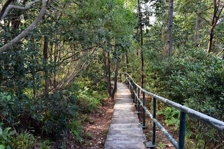Easy walk in greenry on a paved path to a rest area, from hiking trails on a day-trip, Lamma Island, Hong Kongの写真素材