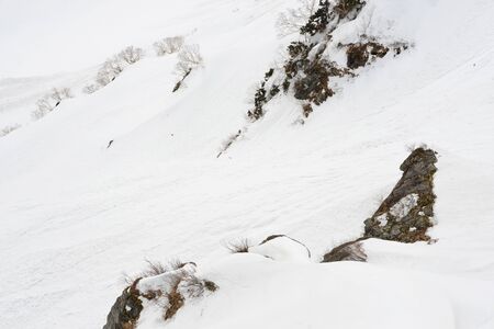 Pine tree forest covered with thick snow on mountain slopeの写真素材