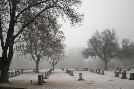 Cold Stonesの写真素材