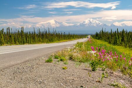Alaska Range mountains on horizon at the end of long highway with green trees on side of highway. Pink flowers are on the side of the highway in Alaska, USA.の写真素材