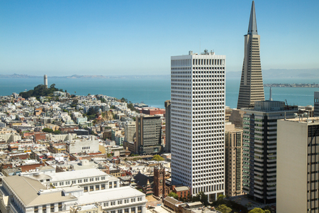 San Francisco skyline, CA, USA. TransAmerica Pyramid in foreground, Coit Tower in distance, clear blue sky and bay islands in background. Vantage point is the financial district. Rooftop perspective.のeditorial素材