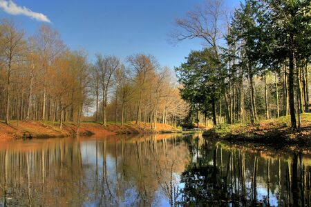 A pond reflecting all of natures gloryの写真素材
