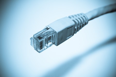 This is a network cable also know as RJ45 in Blue tones