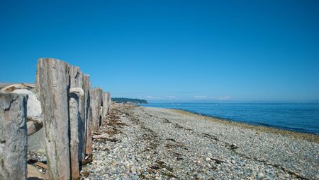 Rocky beach in the northwest with old stumps from a dock exposedの写真素材