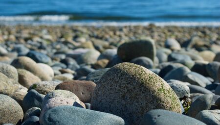 Rocky  in the northwest with close field of focusの写真素材
