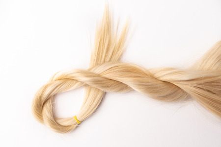 Human, natural light blond hair tress on white isolated background. An example of a fashionable...