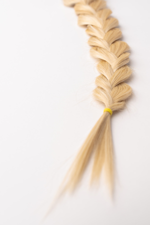 Human, natural light blond hair tress on white isolated background. An example of a fashionable hairstyle for a poster or an hairdressing website.の写真素材