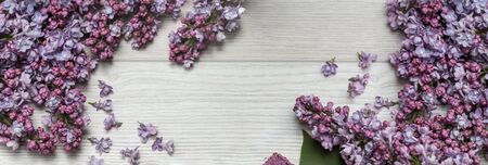 Spring lilac flowers on white wooden background. flowers composition