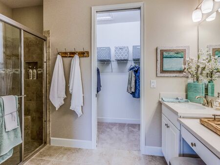 Master bathroom with vanity