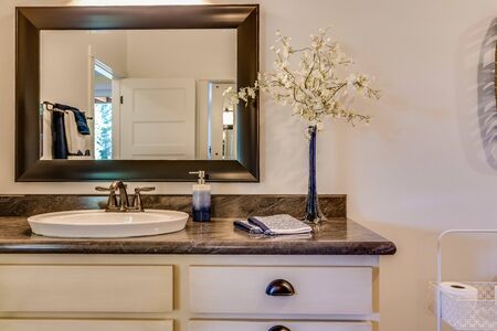 Amazing trim and detail of guest bathroomの写真素材