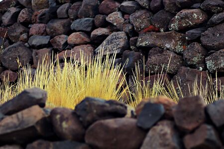 Rocks and coarse yellow grass growing in betweenの写真素材