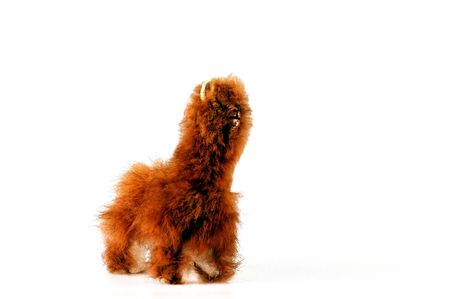 isolated toy llama with real furの写真素材